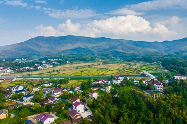 JDB���ӡ�(�й�)�ٷ���վ